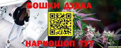 молекула духа Жуковский