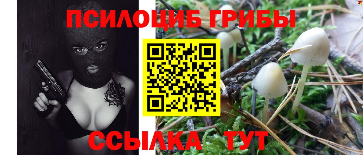 Псилоцибиновые грибы прущие грибы Майский