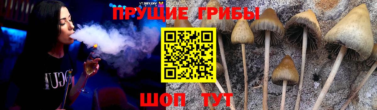 Галлюциногенные грибы Psilocybe  Вход с VPN  купить   Майский 